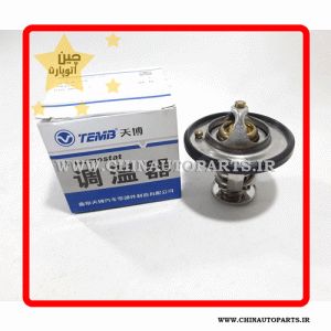 ترموستات گریت وال ولکس c30